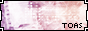 88x31 button: go againgrint toasbutton