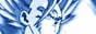 88x31 button: gohanrage1 gohanblue