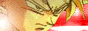 88x31 button: gohanrage1 gokuinfront