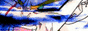 88x31 button: gohanrage1 guywitscar