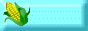 88x31 button: grannysporch b12