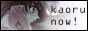 88x31 button: graykbttn