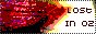 88x31 button: gummybear ozbut