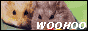 88x31 button: hamsterbuddies