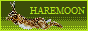 88x31 button: haremoon