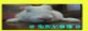 88x31 button: hk geocities com dorawlng logo