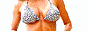 88x31 button: hotswimsuitbutton