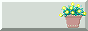 88x31 button: iceplaywind baue2