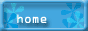 88x31 button: iceplaywind bn home