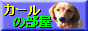 88x31 button: icons link call
