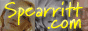 88x31 button: ididafart spearritt