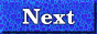88x31 button: janie next1