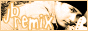 88x31 button: jybosch link3