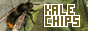 kalechips 2