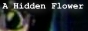 88x31 button: khiddenflower kbt