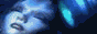 88x31 button: kinduism facebansm