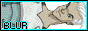 88x31 button: kittykittypryde linkme