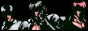 88x31 button: kof king of fighters ondlogo