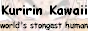 88x31 button: kuriadoptions kkminiban4
