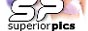 88x31 button: lashfull superiorpicsbutton