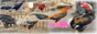 88x31 button: leelapama 22