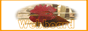 88x31 button: leelapama webb