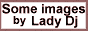 88x31 button: lgoLadyDj