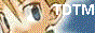 88x31 button: lilannoyer64 MattTDTMbutton