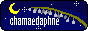 linkbanner