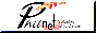 88x31 button: links phil net