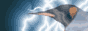 linuxgames button