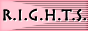 88x31 button: littledarlin rights pink1