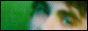 88x31 button: loonytoony02 button9