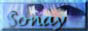 88x31 button: lorien knight li rlbutton