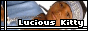 88x31 button: lucious kitty button15