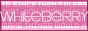 88x31 button: luv arashi juniors 01