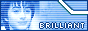 88x31 button: maartenluyts button05