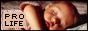 88x31 button: mamawebring pro1