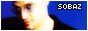 88x31 button: marcella hollywood beye button