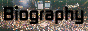 88x31 button: mattriggs biography