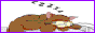 88x31 button: meow