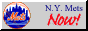 88x31 button: metsnow