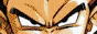 88x31 button: minako san1 dbzmega