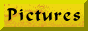 88x31 button: montagerocks s