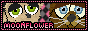 moonflowerpetz 5