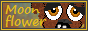 moonflowerpetz 8