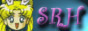 88x31 button: moonprincess 01 Srhbutto