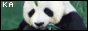 88x31 button: muzikmania animal link