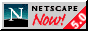 88x31 button: netreg50