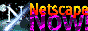 88x31 button: nets